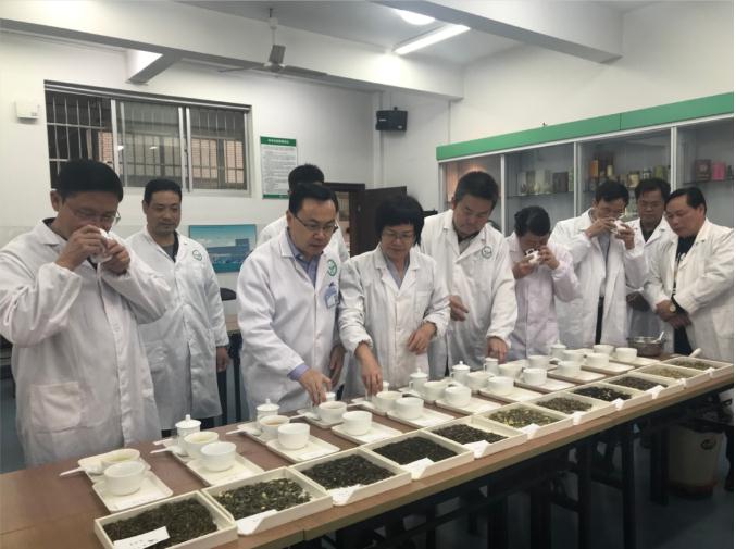 瀟湘茶業(yè)開展花茶審評和座談會，劉仲華院士等專家共謀花茶產(chǎn)業(yè)發(fā)展
