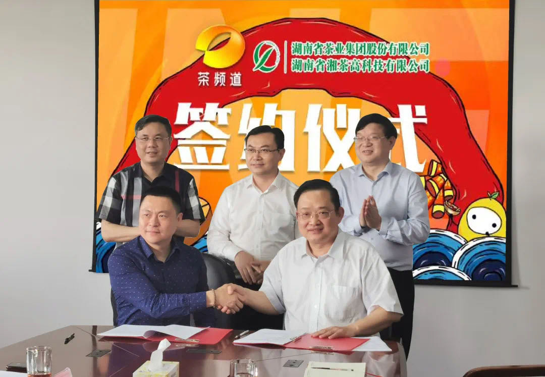 院士見證，輕輕茶發(fā)力品牌建設(shè)，與茶頻道達(dá)成深度合作